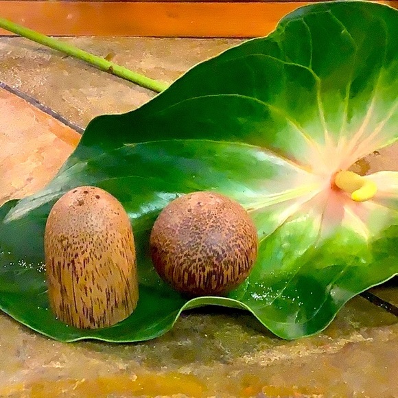 Unique and Unbranded Salt and Pepper Shakers - possibly coconut shell - Picture 5 of 8